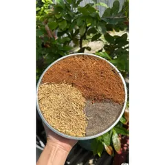 Giá Thể Trồng Cây: Trấu Sống + Xơ Dừa + Trichoderma - Hỗ Trợ Phát Triển Rễ, Phòng Ngừa Nấm Bệnh gói 5dm3
