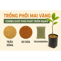 Giá Thể Trồng Cây: Trấu Sống + Xơ Dừa + Trichoderma - Hỗ Trợ Phát Triển Rễ, Phòng Ngừa Nấm Bệnh gói 5dm3