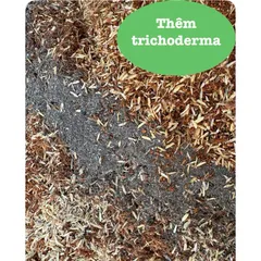 Giá Thể Trồng Cây: Trấu Sống + Xơ Dừa + Trichoderma - Hỗ Trợ Phát Triển Rễ, Phòng Ngừa Nấm Bệnh gói 5dm3