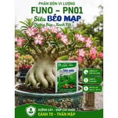 [ Combo 5 gói] Phân Bón Vi Lượng Siêu Béo Mập 50G | Phục Hồi Cây Sau Ra Hoa Đậu Quả | Dưỡng Búp Xanh , Cành To Thân Mập