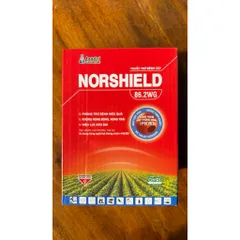 [Hộp 20 gói ]Thuốc Trừ Bệnh Norshield 86.2WG Gói 50g – Đặc trị nấm, sạch bệnh nhanh, an toàn cây trồng