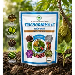 TRICHODERMA AC 500G Vi Nấm Men Ủ Sinh Học Phân Giải Hữu Cơ Phòng Tuyến Trùng Cải Tạo Đất Thối Rễ Vàng Lá