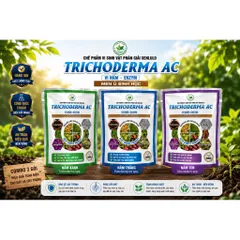 TRICHODERMA AC 500G Vi Nấm Men Ủ Sinh Học Phân Giải Hữu Cơ Phòng Tuyến Trùng Cải Tạo Đất Thối Rễ Vàng Lá