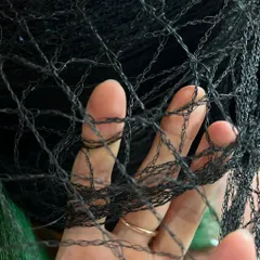 10 Mét Lưới giàn leo - lưới cước định vị trồng cây , lưới rào gà , quây vườn khổ 2m