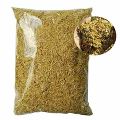 3 kg trấu khô, trấu sống, trấu sạch