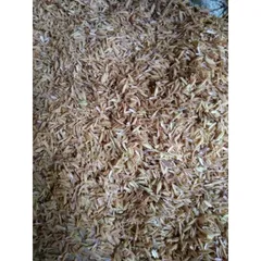 3 kg trấu khô, trấu sống, trấu sạch