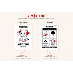 Thẻ Học Flashcard Cho Bé Song Ngữ Việt Anh - Combo 10 Thẻ học thông minh | Học Từ Vựng, Nhận Biết Thế Giới Quanh Bé