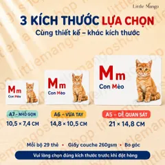 Bộ 61 Thẻ Học Thông Minh Tiếng Việt Cho Bé - Số Đếm 1-10, Bảng Chữ Cái, Phụ Âm Ghép, Nguyên Âm Ghép A5 A6 A7