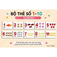 Bộ 61 Thẻ Học Thông Minh Tiếng Việt Cho Bé - Số Đếm 1-10, Bảng Chữ Cái, Phụ Âm Ghép, Nguyên Âm Ghép A5 A6 A7