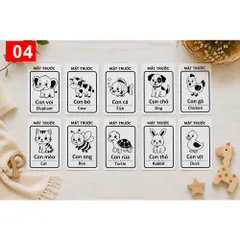 Flashcard Kích Thích Thị Giác A5 Cho Bé Sơ Sinh Đen Trắng 0-12 Tháng Thẻ Học Montessori Song Ngữ Việt Anh