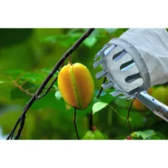 Vợt Hái Trái Cây Trên Cao Đa Năng Kèm Túi Vải, Dụng Cụ Hái Hoa Quả Kim Loại Siêu Bền Đẹp