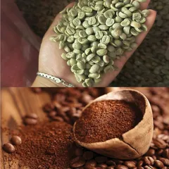 (1 Kg) CÀ PHÊ ROBUSTA S18 (Đak Lak) - Rang Mộc Nguyên Chất 100% (Đã bao gồm 8% VAT) 899245