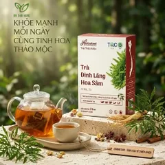 Herbafood Trà Đinh Lăng Hoa Sâm Hỗ trợ ngủ ngon An thần giảm stress Bồi bổ sức khỏe 60 túi lọc 4,5g