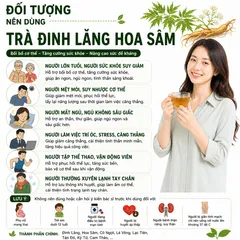 Herbafood Trà Đinh Lăng Hoa Sâm Hỗ trợ ngủ ngon An thần giảm stress Bồi bổ sức khỏe 60 túi lọc 4,5g