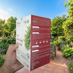 Herbafood Trà Đinh Lăng Hoa Sâm Hỗ trợ ngủ ngon An thần giảm stress Bồi bổ sức khỏe 60 túi lọc 4,5g