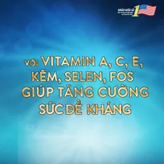Combo 2 Lốc Sữa pha sẵn Ensure Orginal 237ml (12 chai)