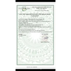 CAO ÍCH MẪU VIÊN giúp bổ huyết , điều kinh, giảm kinh nguyệt không đều, đau bụng kinh, rối loạn kinh nguyệt IMV