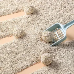 Cát đậu nành 6L (2kg) Tofu Cat Litter Vón Cục Nhanh Có Thể Xả Bồn Cầu Cát Vệ Sinh Cho Mèo CÁT ĐẤT SÉT , siêu vón cục