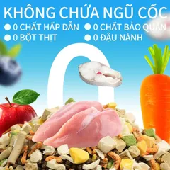 Hạt cho mèo - Thức ăn hạt Cat and friend V2 hỗ trợ thận siêu nhiều topping giúp mèo tăng cân