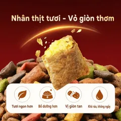 Hạt Cho Mèo cat and friend PET V1 Hạt thịt sấy siêu Mix Thịt Đông Khô Kích Thích Thèm Ăn
