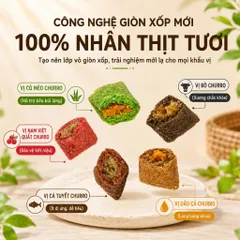 Hạt cho mèo CAT AND FRIEND Pet V1 V2 V3 Urinary gói 5KG siêu topping,chăm sóc tiết niệu, hỗ trợ tiêu hóa