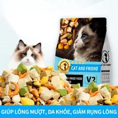 Hạt cho mèo CAT AND FRIEND Pet V1 V2 V3 Urinary gói 5KG siêu topping,chăm sóc tiết niệu, hỗ trợ tiêu hóa
