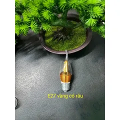 Bóng nến 5w trang trí đủ Các màu cam ket giá rẽ nhất khu vực.