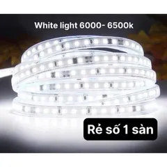 Combo 3M, 5M, 10M kèm nguồn led có keo dây hắc trần, tủ kệ, quấn cây siêu sáng, keo sẵn