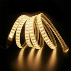 Đèn Led dây đôi 5730 siêu sáng 2 hàng ( Đơn giá / 1 mét )