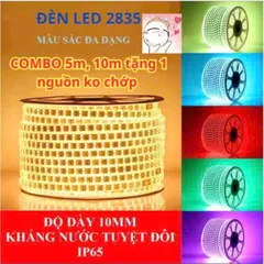 Combo 5m,10m, Dây Led 2835 2 hàng 120 chip/1m tặng 1 dây nguồn ko chớp, trang trí quấn cây,hắt trần