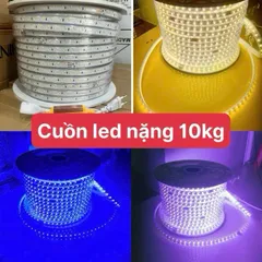 Đèn LED dây 5730 ba màu trang trí hắt trần, ghim rút điện đổi màu led dây giá/1m chưa có nguồn 220V