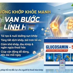 Viên tăng tiết Dịch Khớp Glucosamin 500 , hỗ trợ làm trơn ổ khớp, giúp khớp vận động linh hoạt 100v
