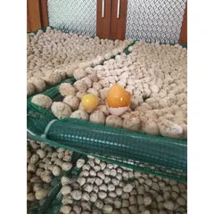 Bột Làm Trứng Bắc Thảo , Gói 1kg làm được 230-250 trứng vịt