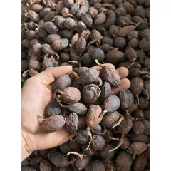 Thảo Quả Khô Nguyên Hạt - Gia Vị Nấu Phở, Hầm, Kho, Tạo Hương Thơm Đặc Trưng Cho Món Ăn