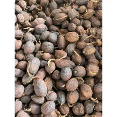 Thảo Quả Khô Nguyên Hạt - Gia Vị Nấu Phở, Hầm, Kho, Tạo Hương Thơm Đặc Trưng Cho Món Ăn