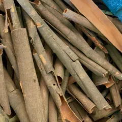 100g Quế Ống Kèn Khô Văn Yên Loại 1 Thơm Đậm Tự Nhiên - Nấu Phở, Pha Trà, Trang Trí, Xông Phòng