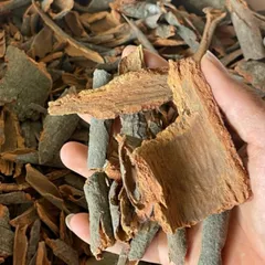 1KG Quế Mảnh Vụn Văn Yên Thơm Cay | Nhiều Tinh Dầu | Nấu Phở - Pha Trà - Gia Vị