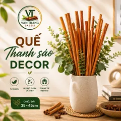 1kg Quế Thanh Sáo 35-45cm Decor, Trang Trí, Nấu Ăn, Pha Trà - Quế Văn Yên Loại 1 Thơm Cay Đậm Đà