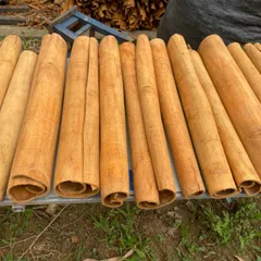 Quế Ống Điếu Dày Yên Bái Cắt Theo Yêu Cầu - Quế Văn Yên Cạo Sạch Vỏ Loại 1 - Trang Trí Decor Pha Trà