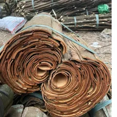 1kg Quế Ống Sáo 40-45cm Thơm Cay Nhiều Dầu - Quế Văn Yên Nấu Phở, Pha Trà, Trang Trí Decor