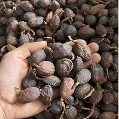 Combo Quế Sáo Hoa Hồi Thảo Quả Văn Yên Thơm Cay Tự Nhiên - Nấu Phở, Ướp Thịt Bò