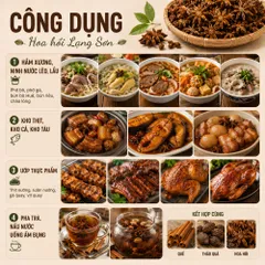 Hoa Hồi Khô Lạng Sơn Nguyên Chất Thơm Cay Nồng - Nấu Phở, Kho Thịt, Pha Trà