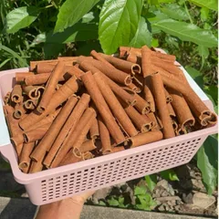 2kg Quế Thanh Sáo Văn Yên Chính Gốc Thơm Cay Nhiều Tinh Dầu - Nấu Phở, Pha Trà, Decor