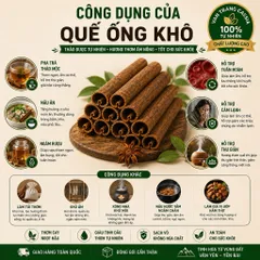 Sỉ 10kg Quế Ống Khô Văn Yên Thơm Cay Nhiều Dầu - Nấu Phở, Thắng Cố, Sốt Vang, Xông Nhà, Làm Tinh Dầu