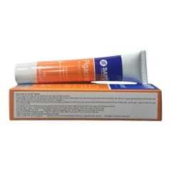 PIGACNET – KEM HỖ TRỢ CHĂM SÓC VÀ CẢI THIỆN DA MỤN CHIẾT XUẤT THỰC VẬT
