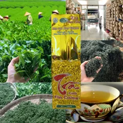 (Combo 10 gói Chè Móc Câu) Trà Móc Câu Sạch Công Minh, Hút chân không mỗi gói 100gr.