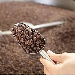 Combo 3 gói cà phê chồn nâu rang xay Cao Cấp 500gr – Chồn Pro, Pro Café, Di Linh Coffee – Gu Mạnh