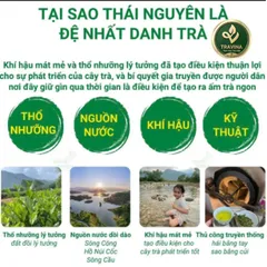 Trà Nõn Tôm Cánh Hạc Trà Thái Nguyên Chuẩn 1 Tôm 1 Nõn