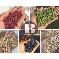 Bột Ngũ Cốc 5 loại đậu rang xay mịn 01kg