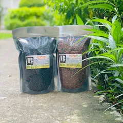 Trà đậu đen xanh lòng rang Brown Rice 01kg
